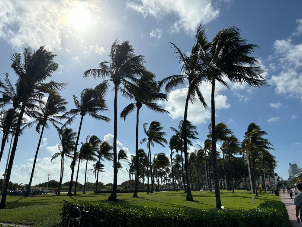 Miami, host city of NLLP 2024